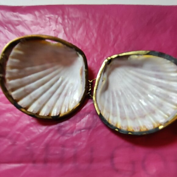Seashell Trinket Box with Brass Trim. Used as a Pillbox, Perfume Sachet or coins - Picture 1 of 6